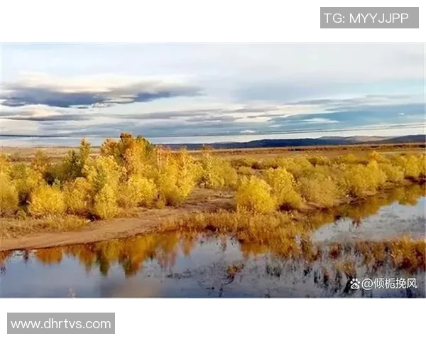 亚马尔地区的地缘政治变迁与能源战略的深远影响分析