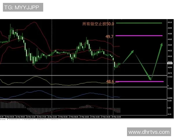 泰国与新加坡精彩对决视频直播全程回顾与分析